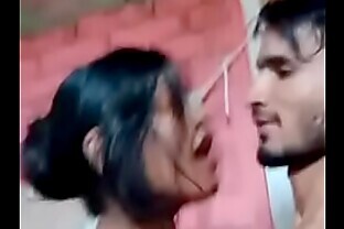 Indian Love Bird