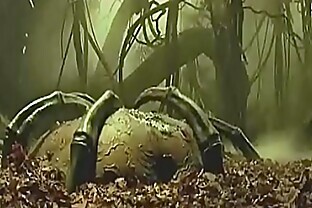 Wood Beast Swallows Man