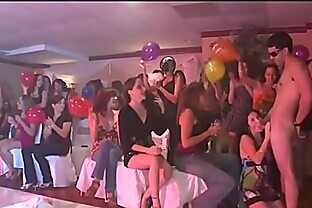 Dancing bear xvideos