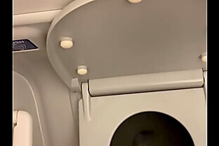 pee to the toilet on the plane