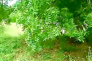 Indian Village Farming girl Having Sex with forest officer