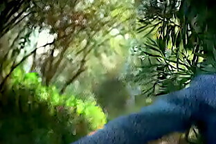 1976 - Abigail Clayton Forest House Scene