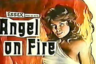 Bucky's 70s Triple X Movie House Trailers: Vol. 3