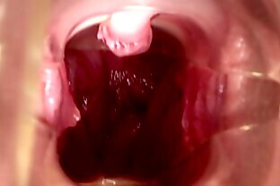 Baseball bat in amateur teen pussy